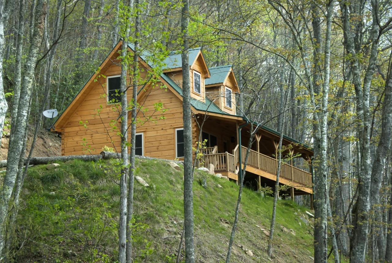Topton Cherokee Mountain Cabins Llc酒店 外观 照片