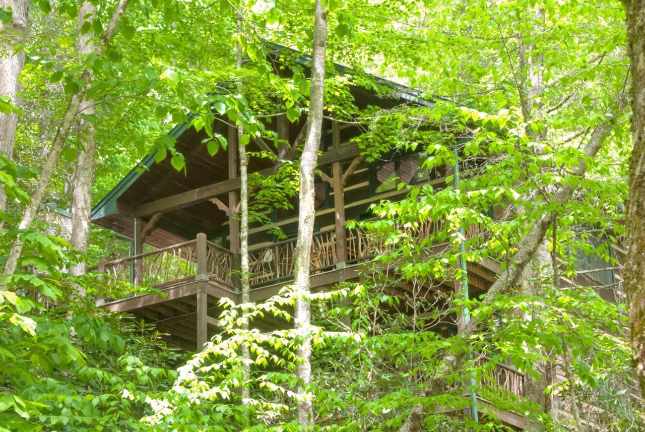 Topton Cherokee Mountain Cabins Llc酒店 外观 照片